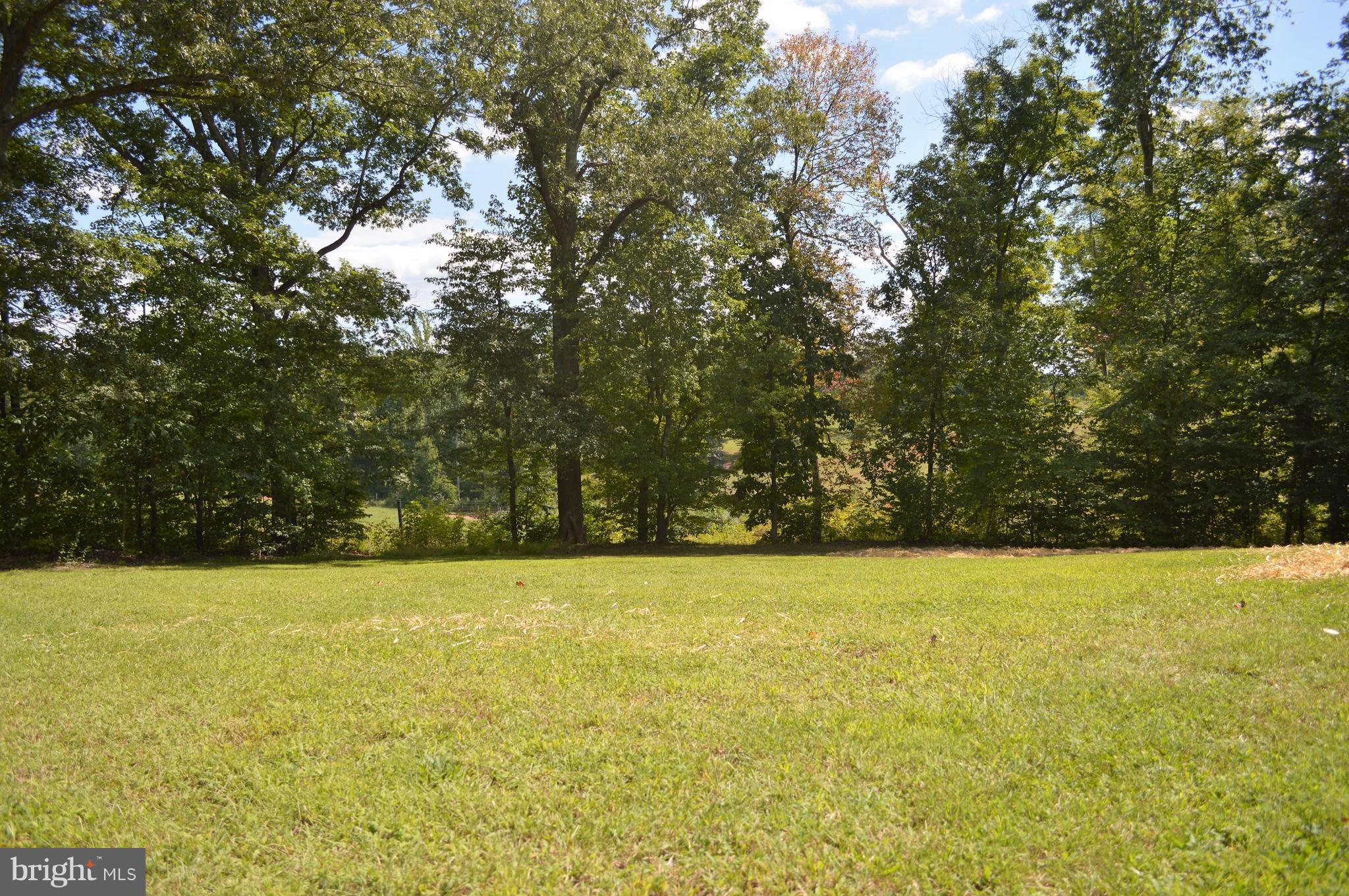 9643 Roys Lane Culpeper, VA 22701 - Photo 18 of 18 Spacious backyard!