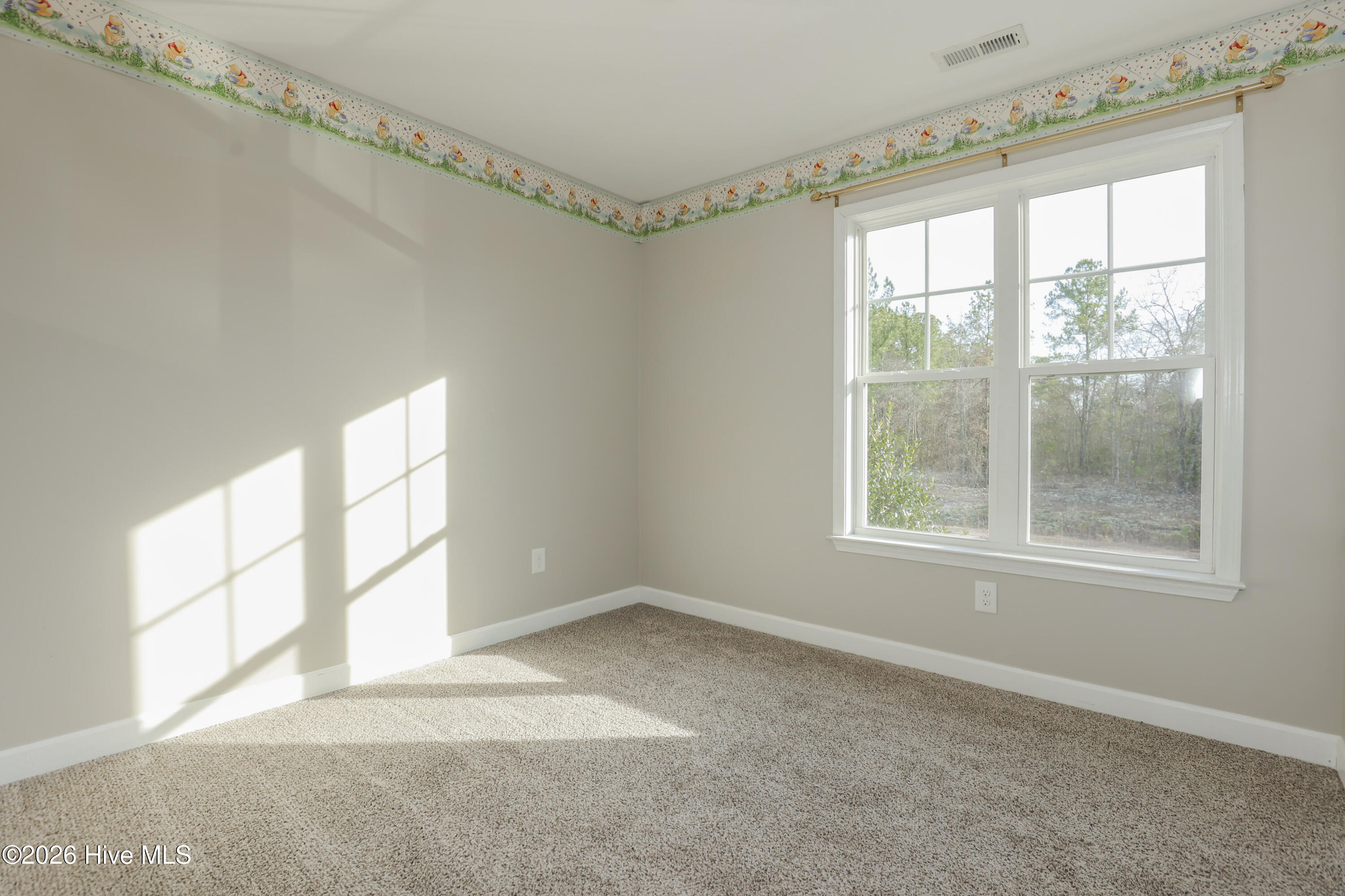 106 Blueberry Fields Road Maple Hill, NC 28454 - Photo 16 of 40 229A1702