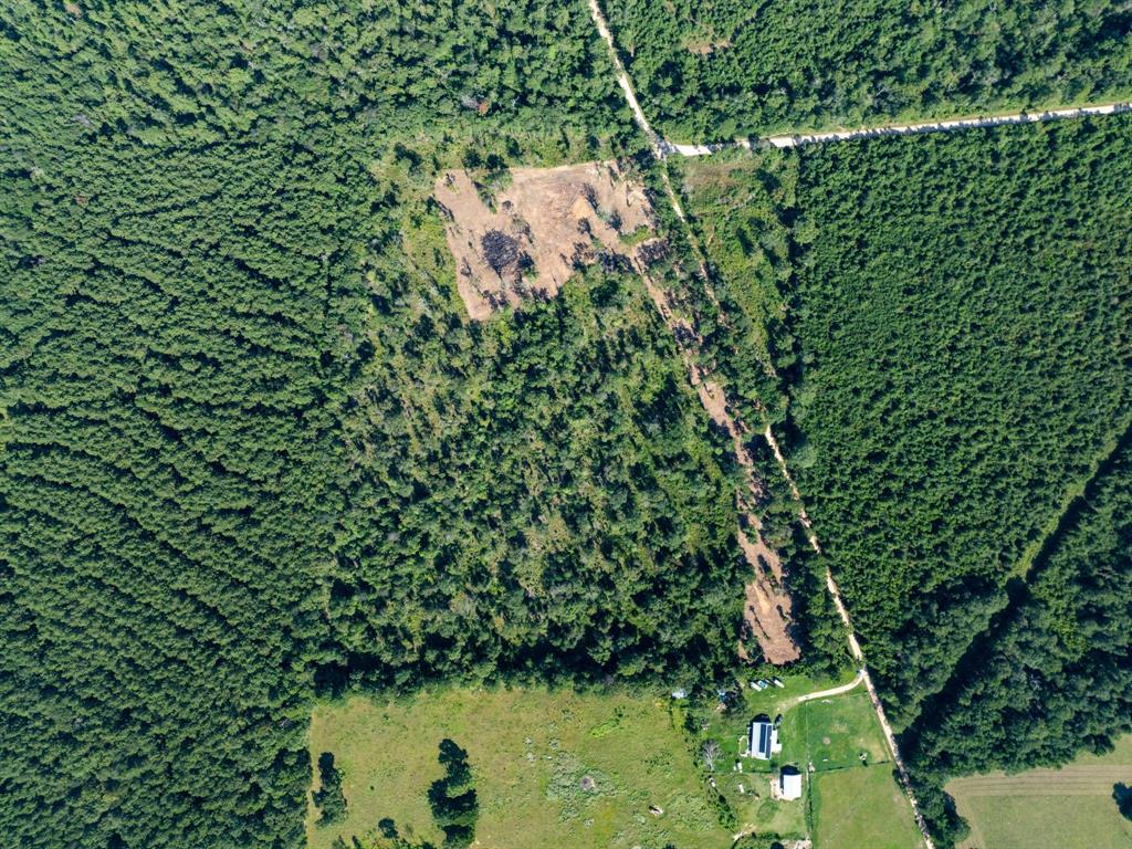 152 Maze Road Livingston, TX 77351 - Photo 1 of 1 Aerial overview of property's location