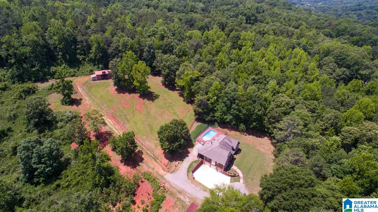 301 Old Springs Lane Springville, AL 35146 - Photo 3 of 29
