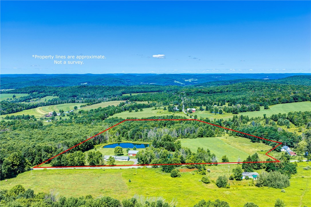 1593 Butternut Road Butternuts, NY 13849 - Photo 3 of 50 Gallery Image 3
