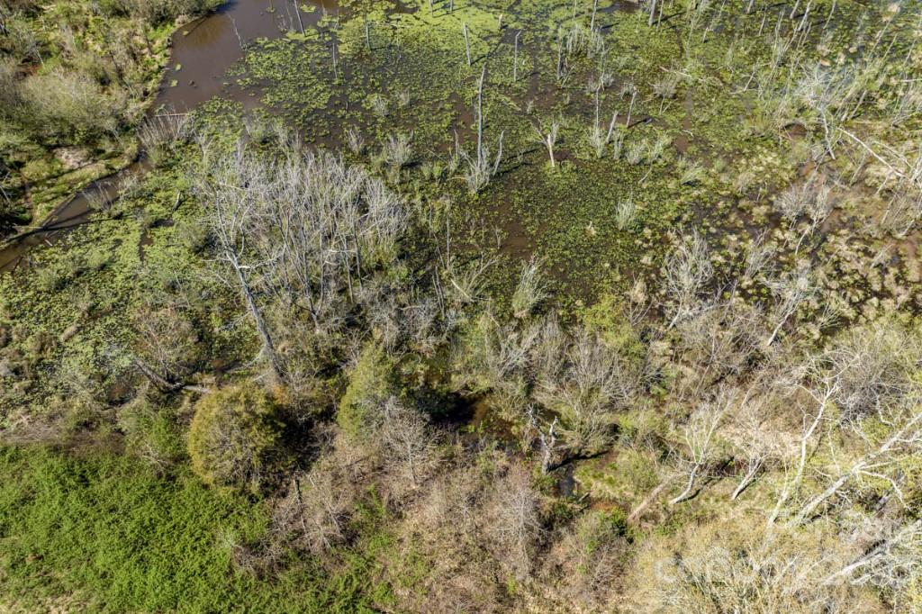 1318 Moore Road Camden, SC 29020 - Photo 11 of 12