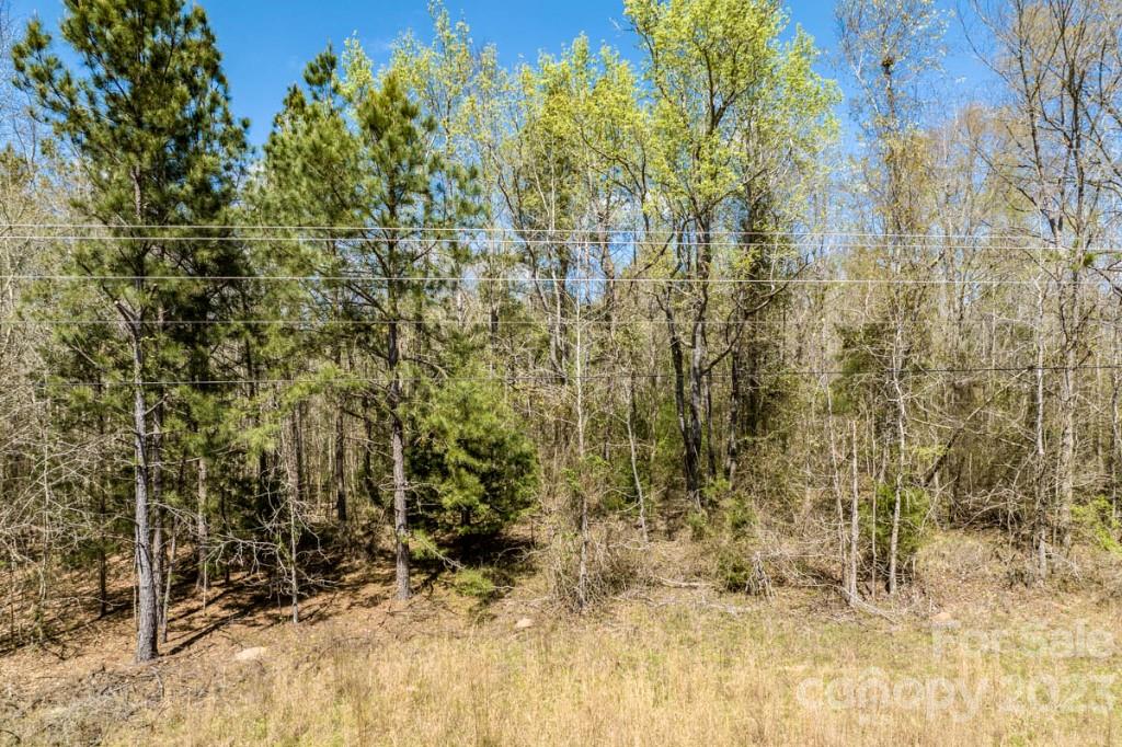 1318 Moore Road Camden, SC 29020 - Photo 2 of 12 a view of a yard