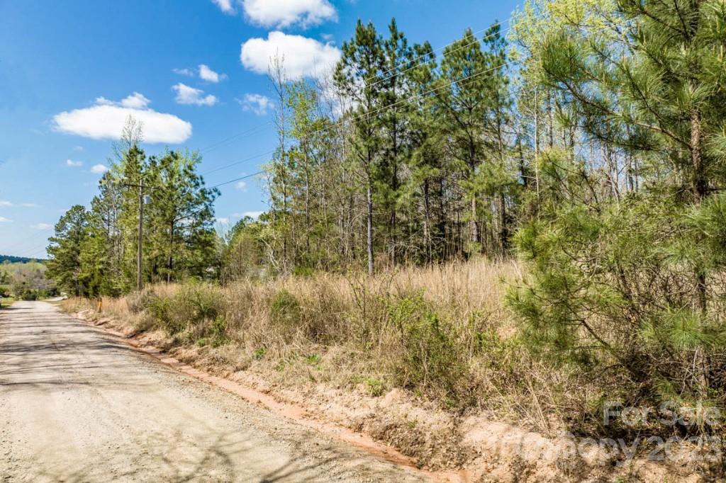 1318 Moore Road Camden, SC 29020 - Photo 4 of 12 a view of a yard