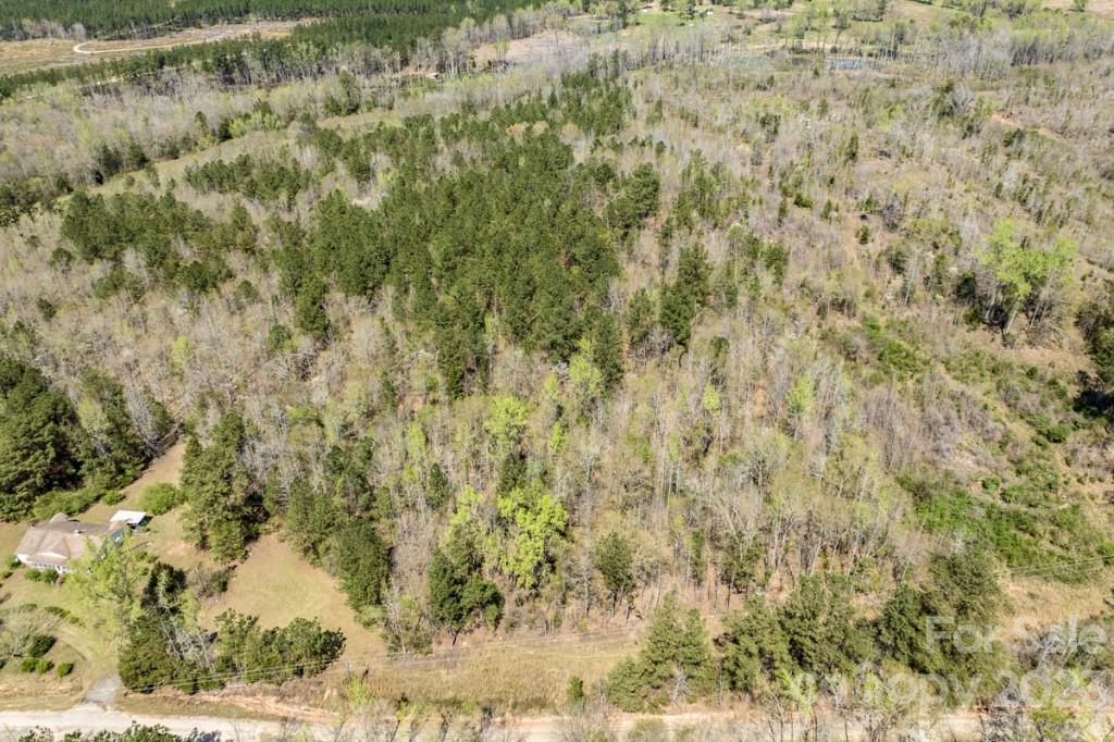1318 Moore Road Camden, SC 29020 - Photo 6 of 12 a view of a yard