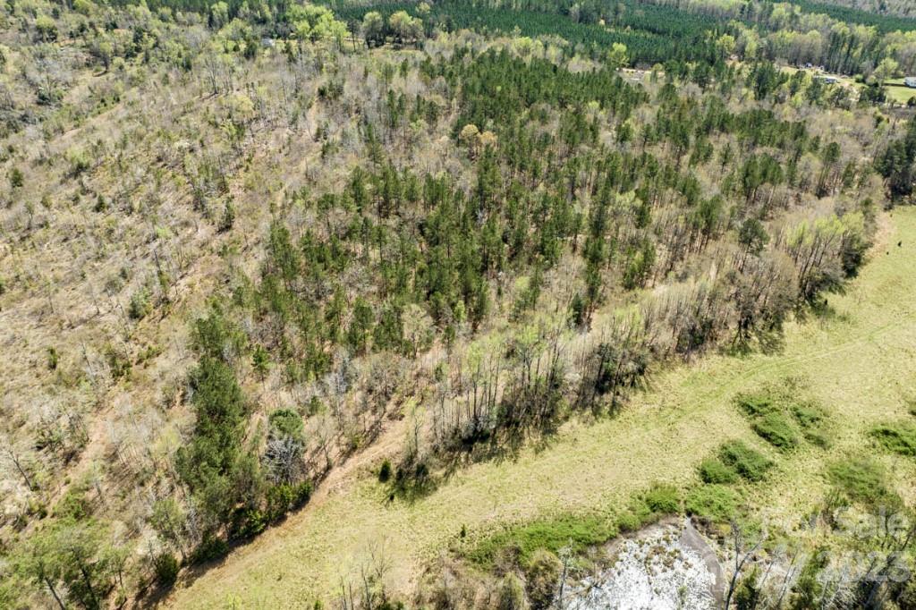 1318 Moore Road Camden, SC 29020 - Photo 8 of 12 a view of a yard with a tree