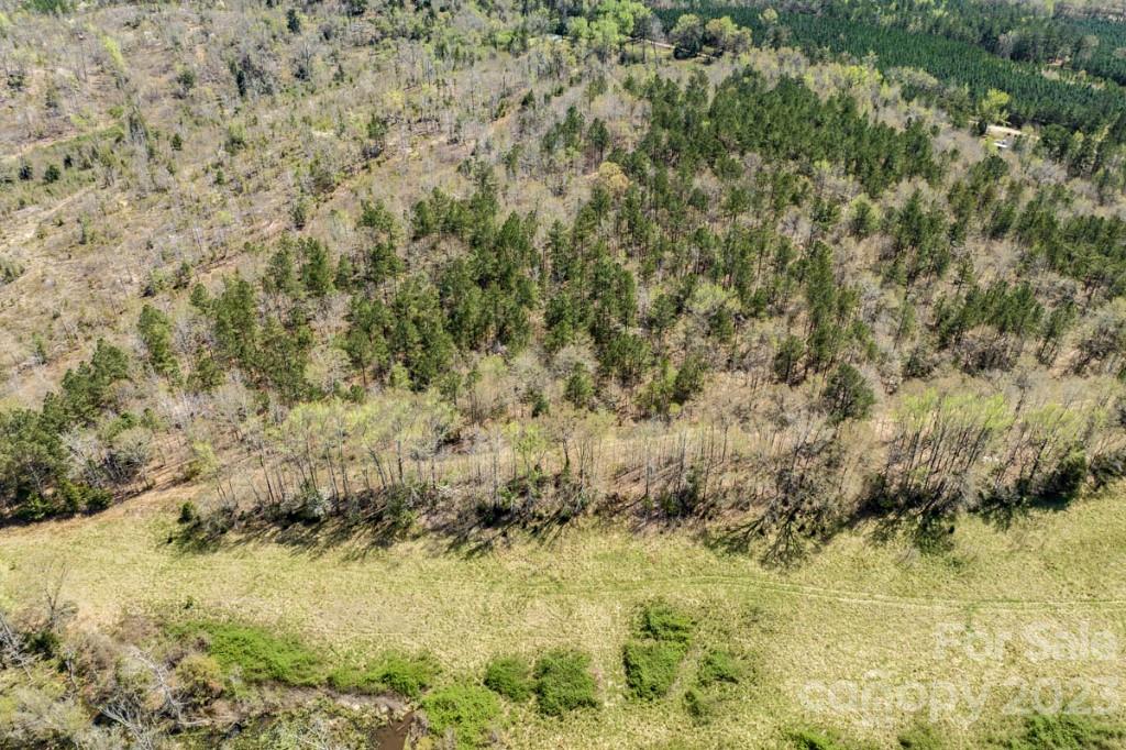 1318 Moore Road Camden, SC 29020 - Photo 9 of 12 a view of a yard