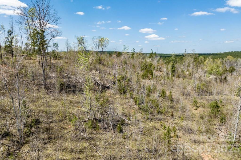 1318 Moore Road Camden, SC 29020 - Photo 10 of 12 a view of a pathway both side of yard