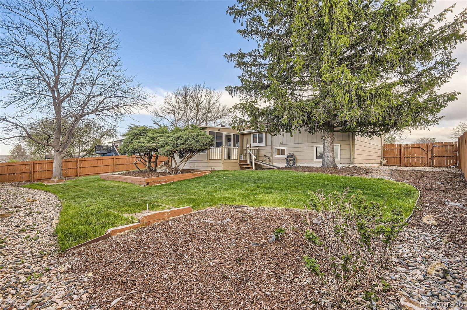367 Jupiter Drive Lone Tree, CO 80124 - Photo 15 of 15 a view of a house with backyard and a tree
