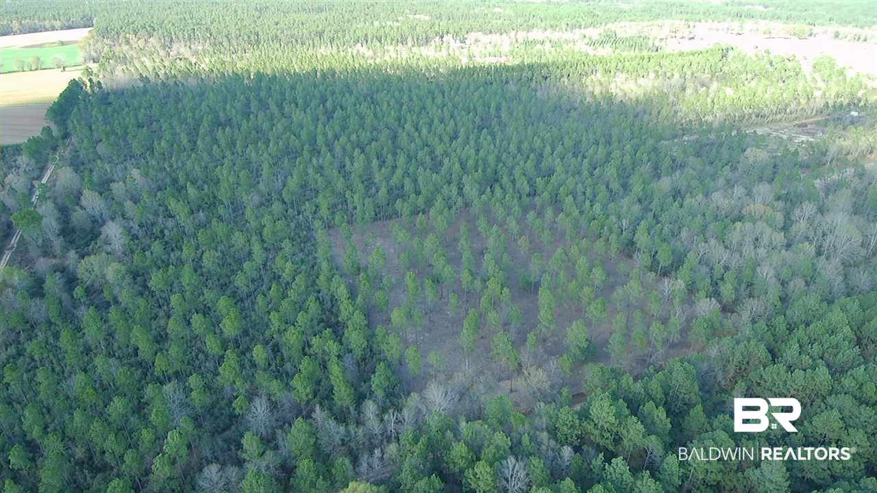 3 Red Cloud Road Baker, FL 32531 - Photo 3 of 14