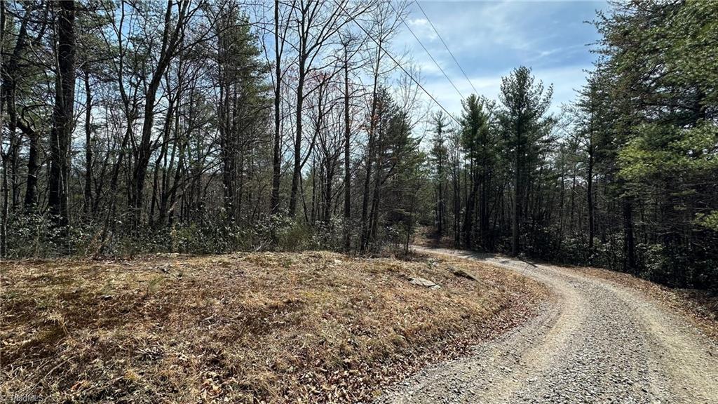 0 White Rock Road Lenoir, NC 28645 - Photo 4 of 10