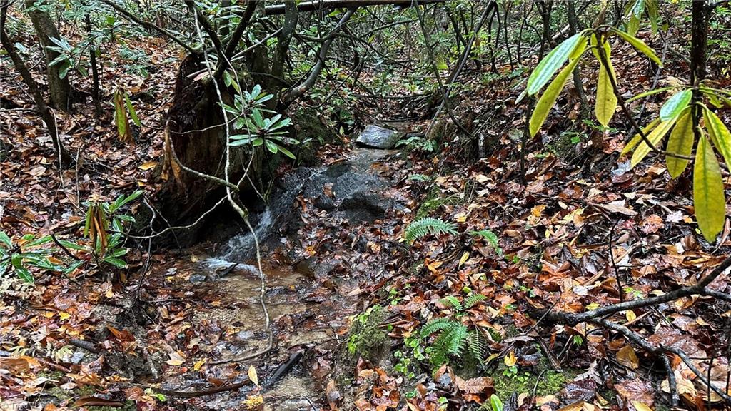 0 White Rock Road Lenoir, NC 28645 - Photo 5 of 10