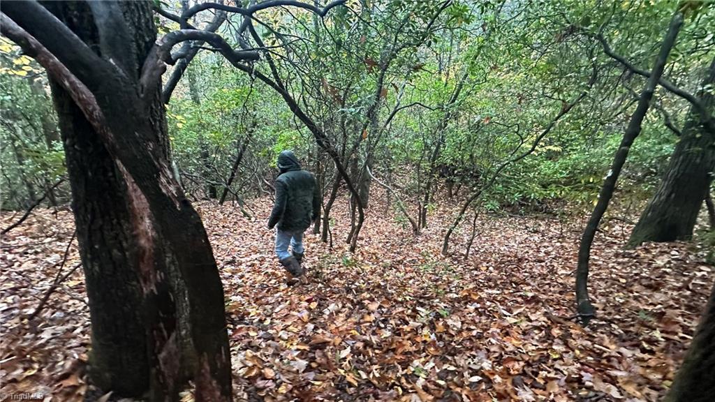 0 White Rock Road Lenoir, NC 28645 - Photo 6 of 10