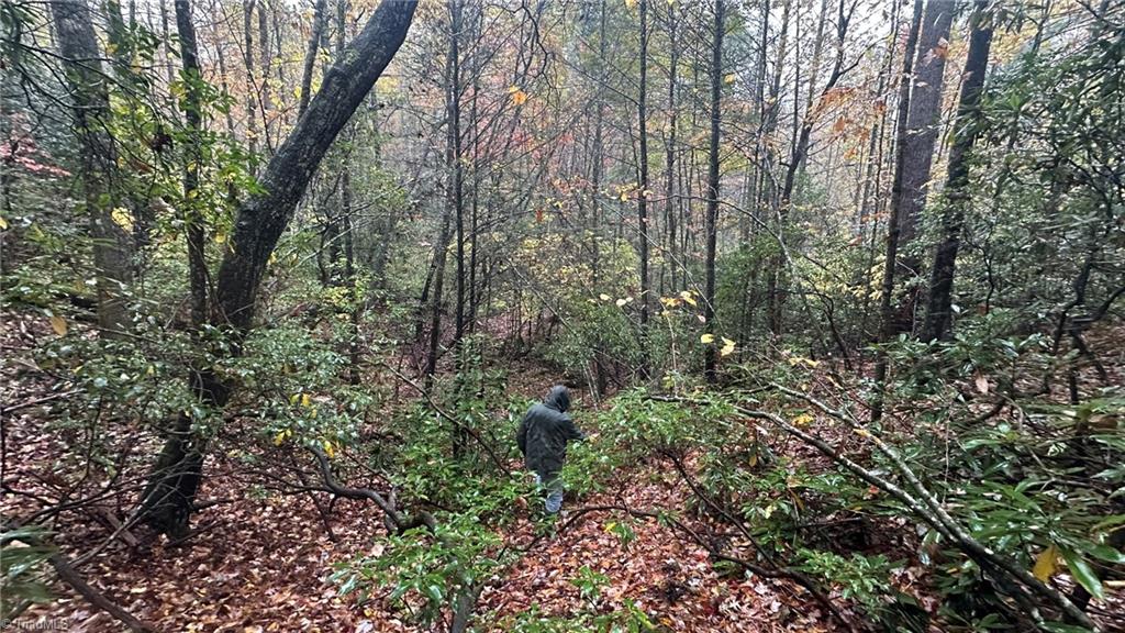 0 White Rock Road Lenoir, NC 28645 - Photo 8 of 10