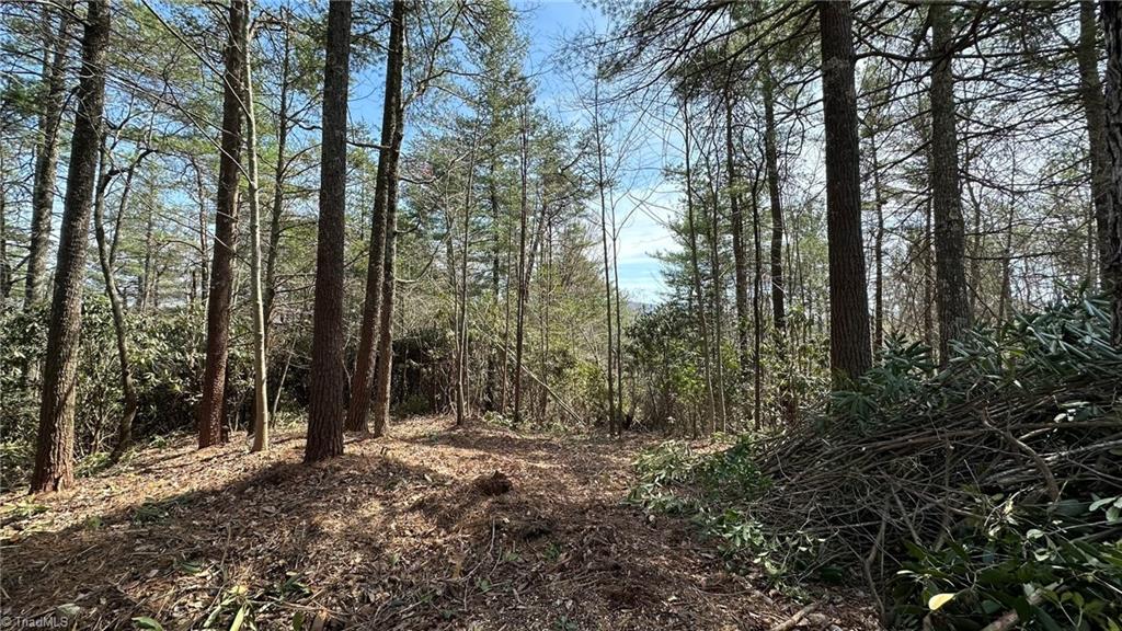 0 White Rock Road Lenoir, NC 28645 - Photo 9 of 10