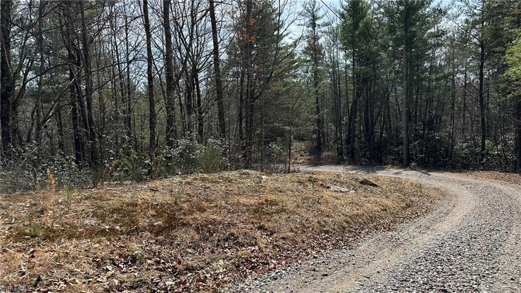 0 White Rock Road Lenoir, NC 28645 - Photo 10 of 10