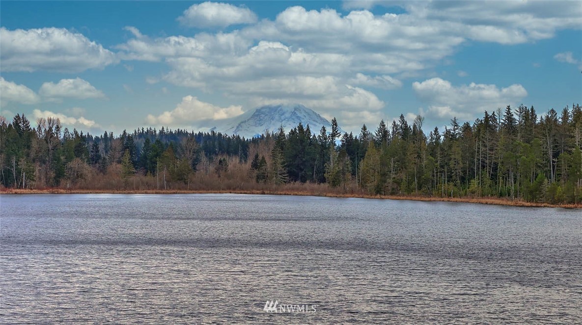18110 West Spring Lake Drive Southeast Renton, WA 98058 - Photo 30 of 38 Gallery Image 30