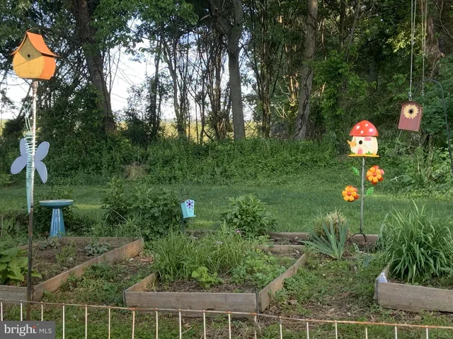 a view of a bird bath