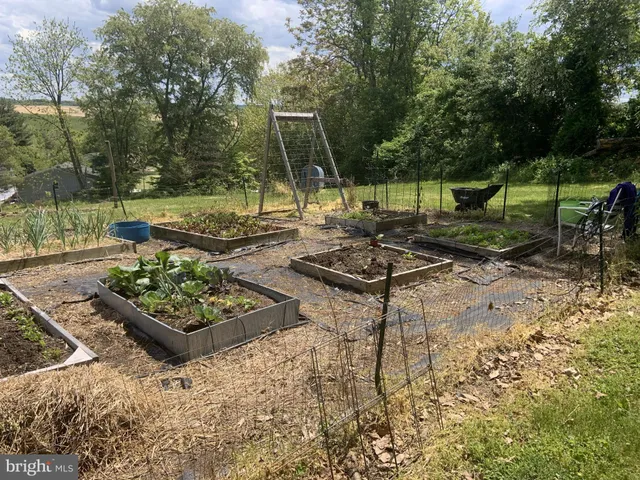 a view of a garden with plants and a patio
