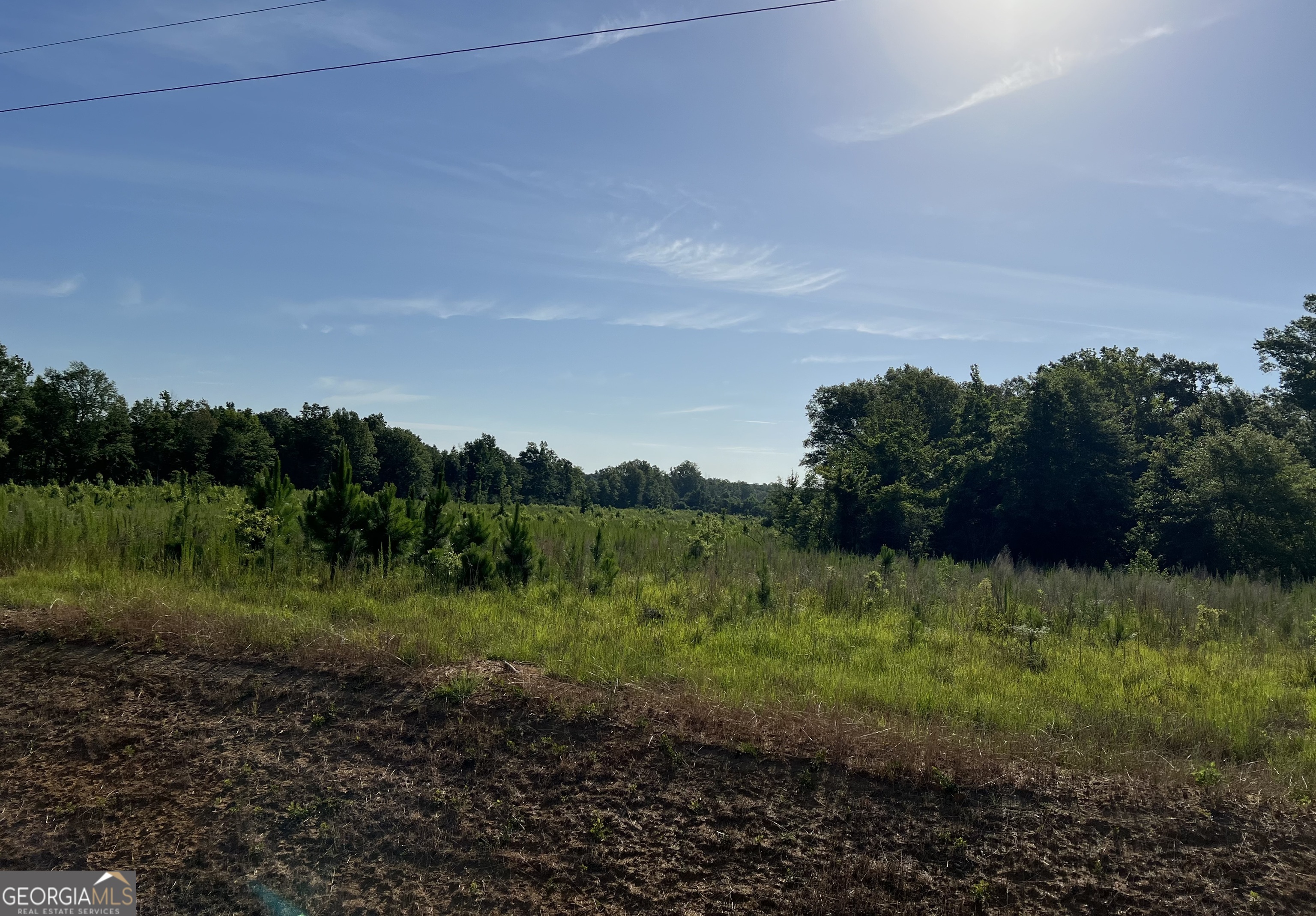 0 Tucker Grove Church Road Wrightsville, GA 31096 - Photo 11 of 21