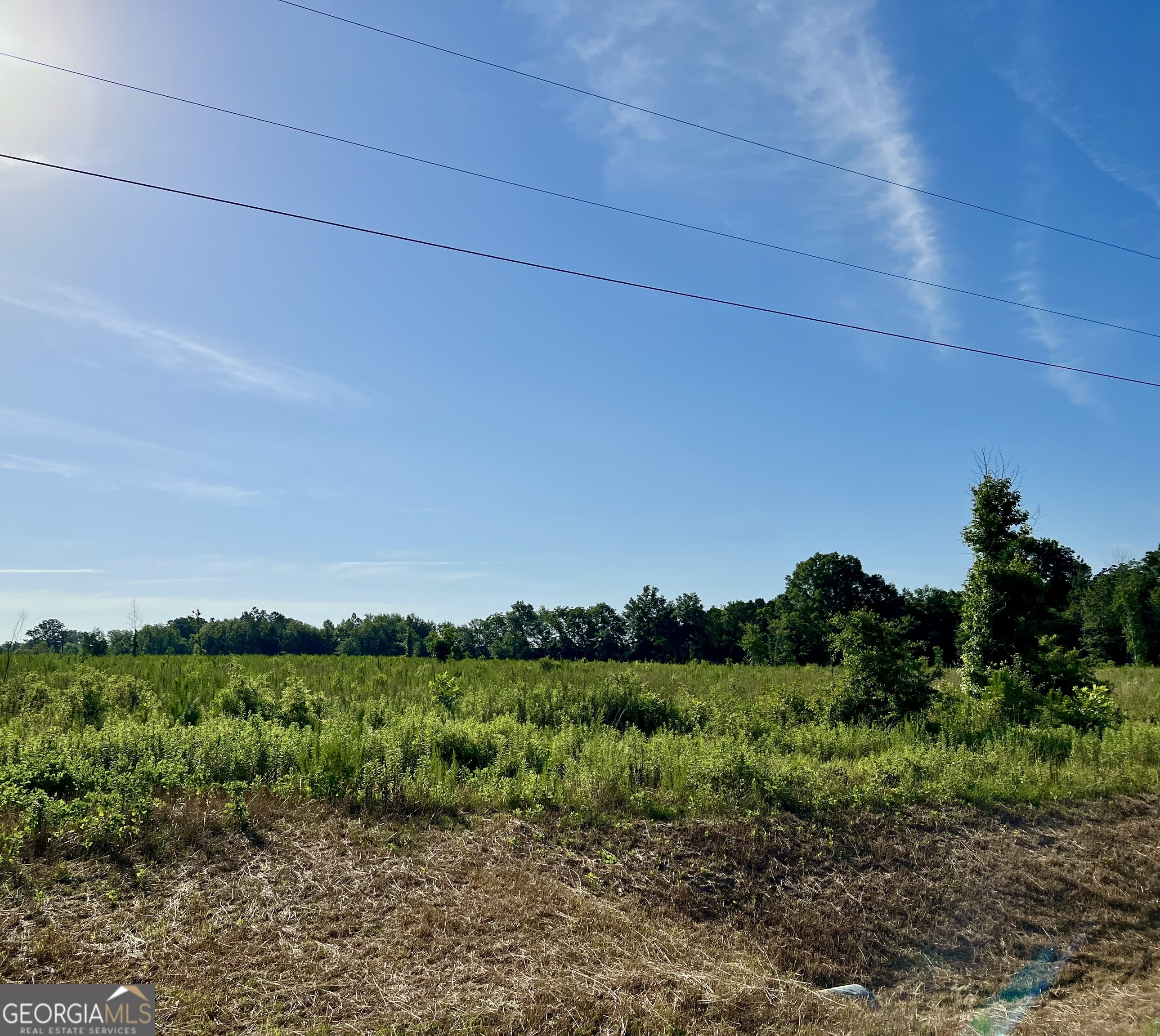 0 Tucker Grove Church Road Wrightsville, GA 31096 - Photo 12 of 21