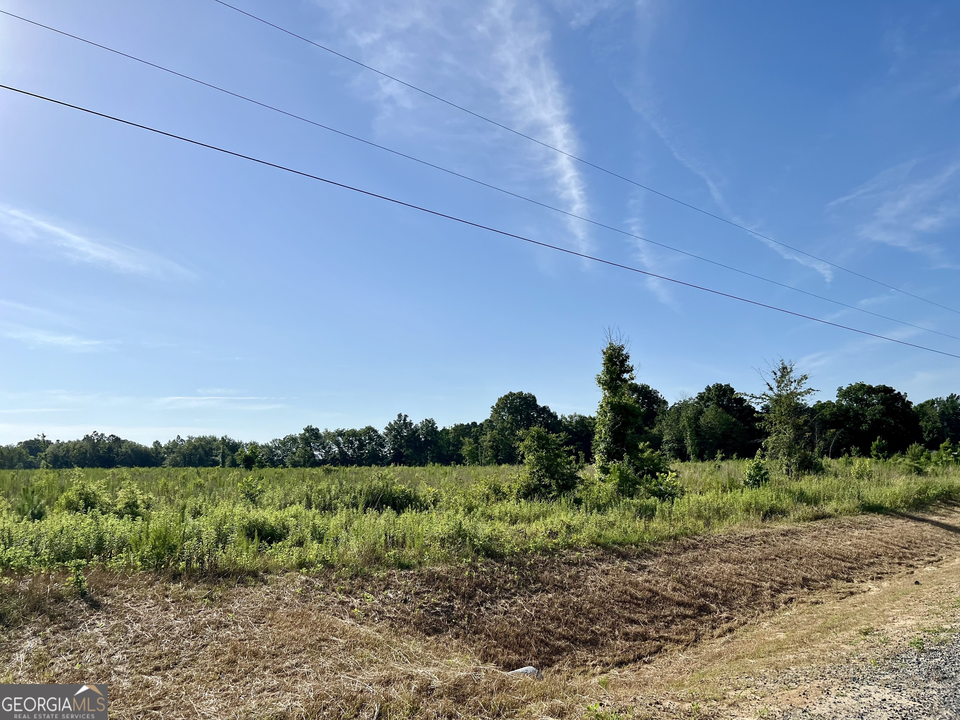 0 Tucker Grove Church Road Wrightsville, GA 31096 - Photo 13 of 21