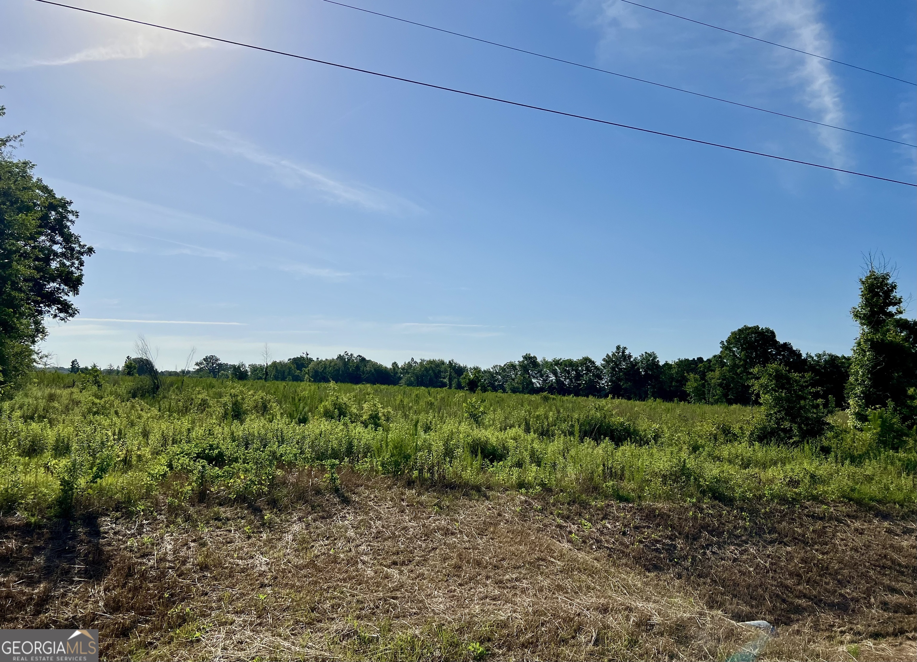 0 Tucker Grove Church Road Wrightsville, GA 31096 - Photo 14 of 21