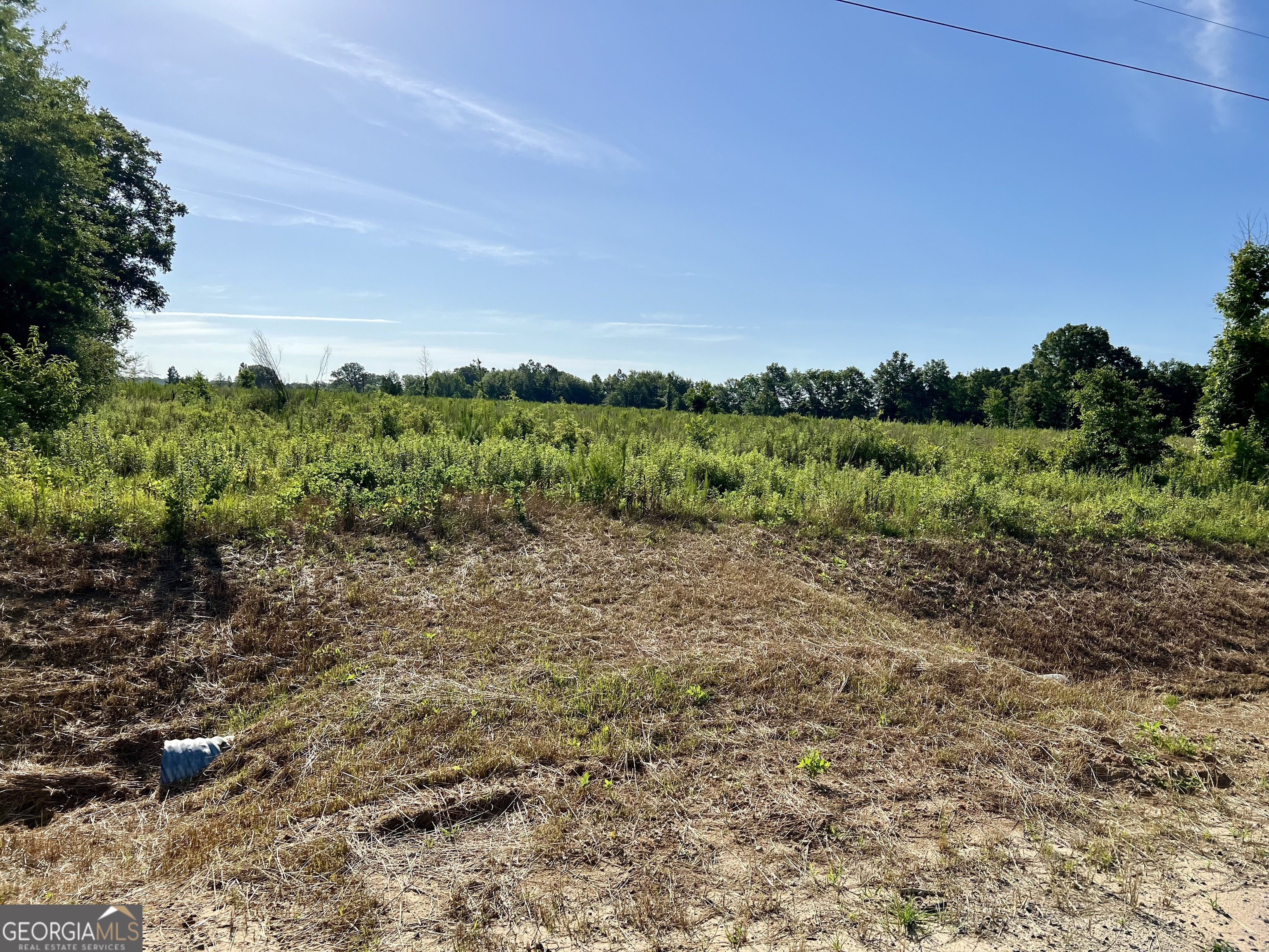 0 Tucker Grove Church Road Wrightsville, GA 31096 - Photo 15 of 21