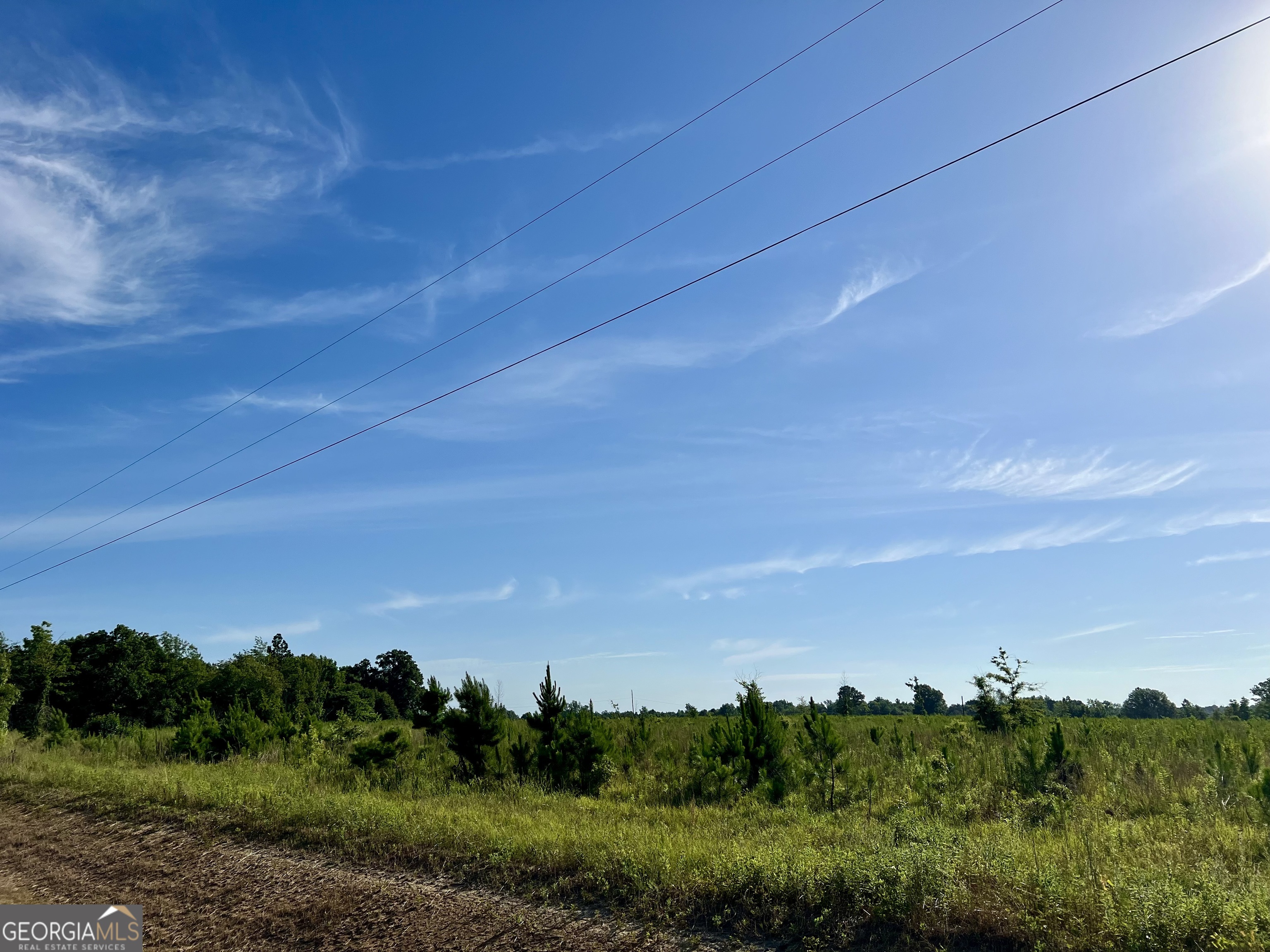 0 Tucker Grove Church Road Wrightsville, GA 31096 - Photo 16 of 21