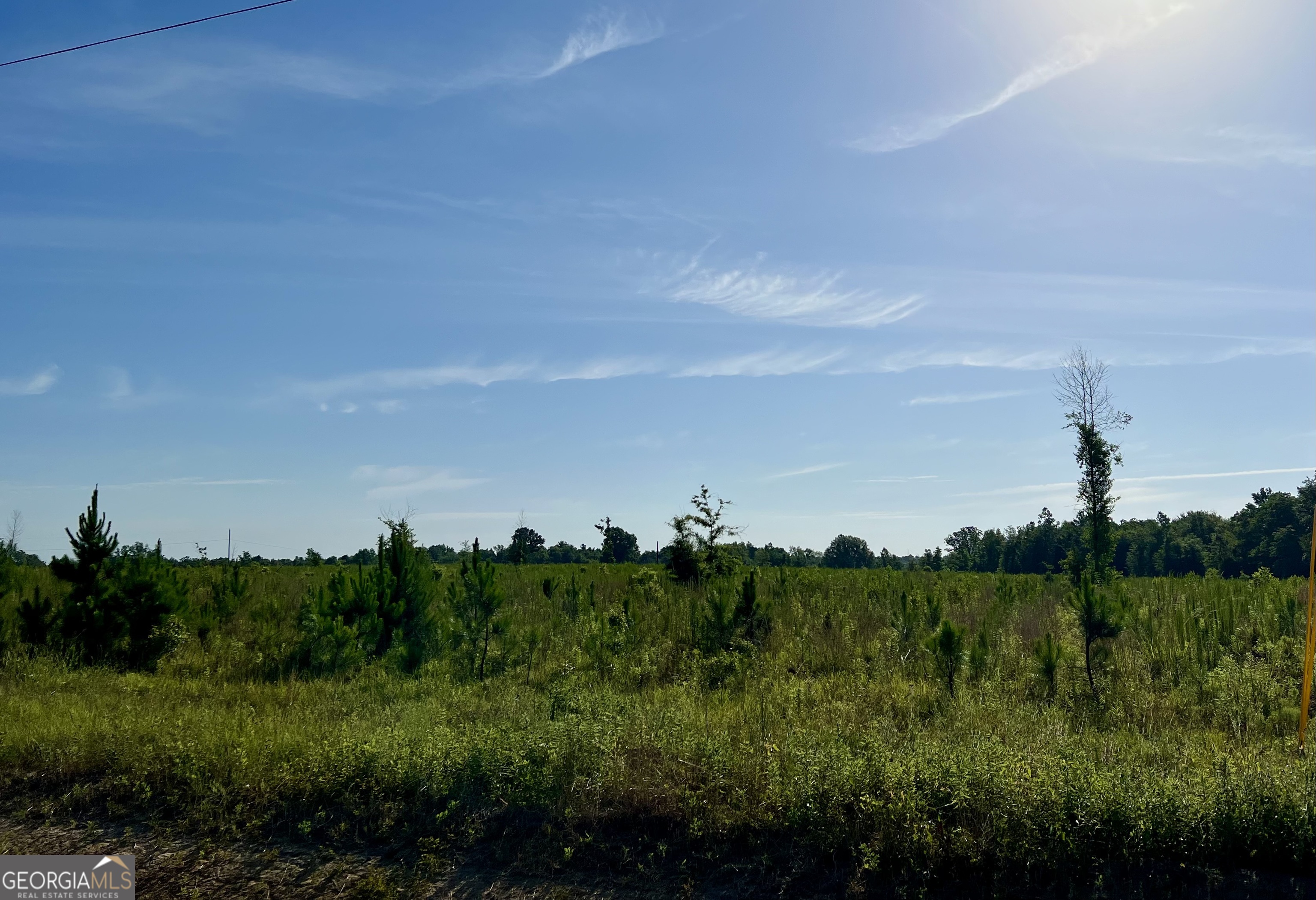 0 Tucker Grove Church Road Wrightsville, GA 31096 - Photo 17 of 21
