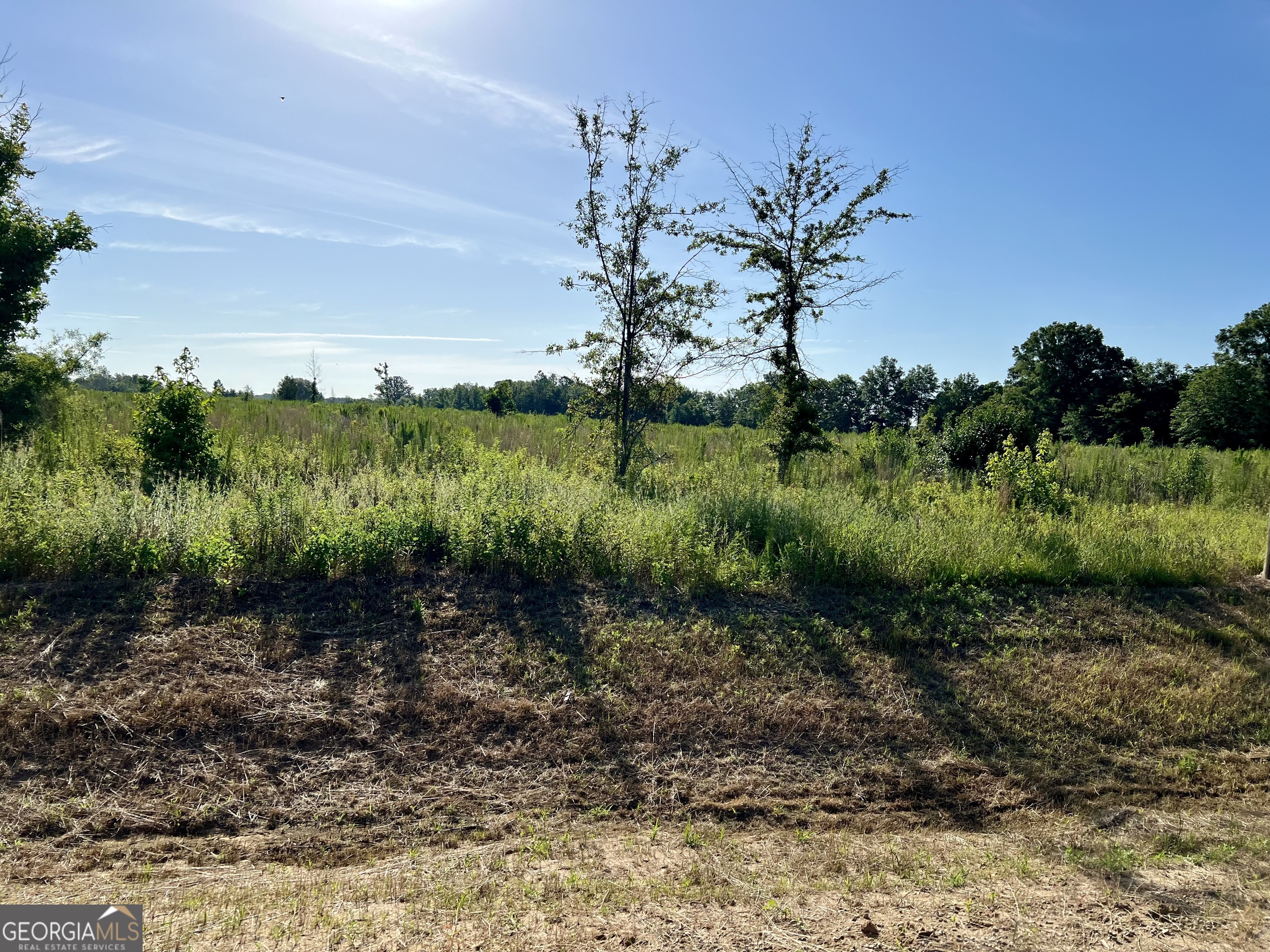 0 Tucker Grove Church Road Wrightsville, GA 31096 - Photo 18 of 21