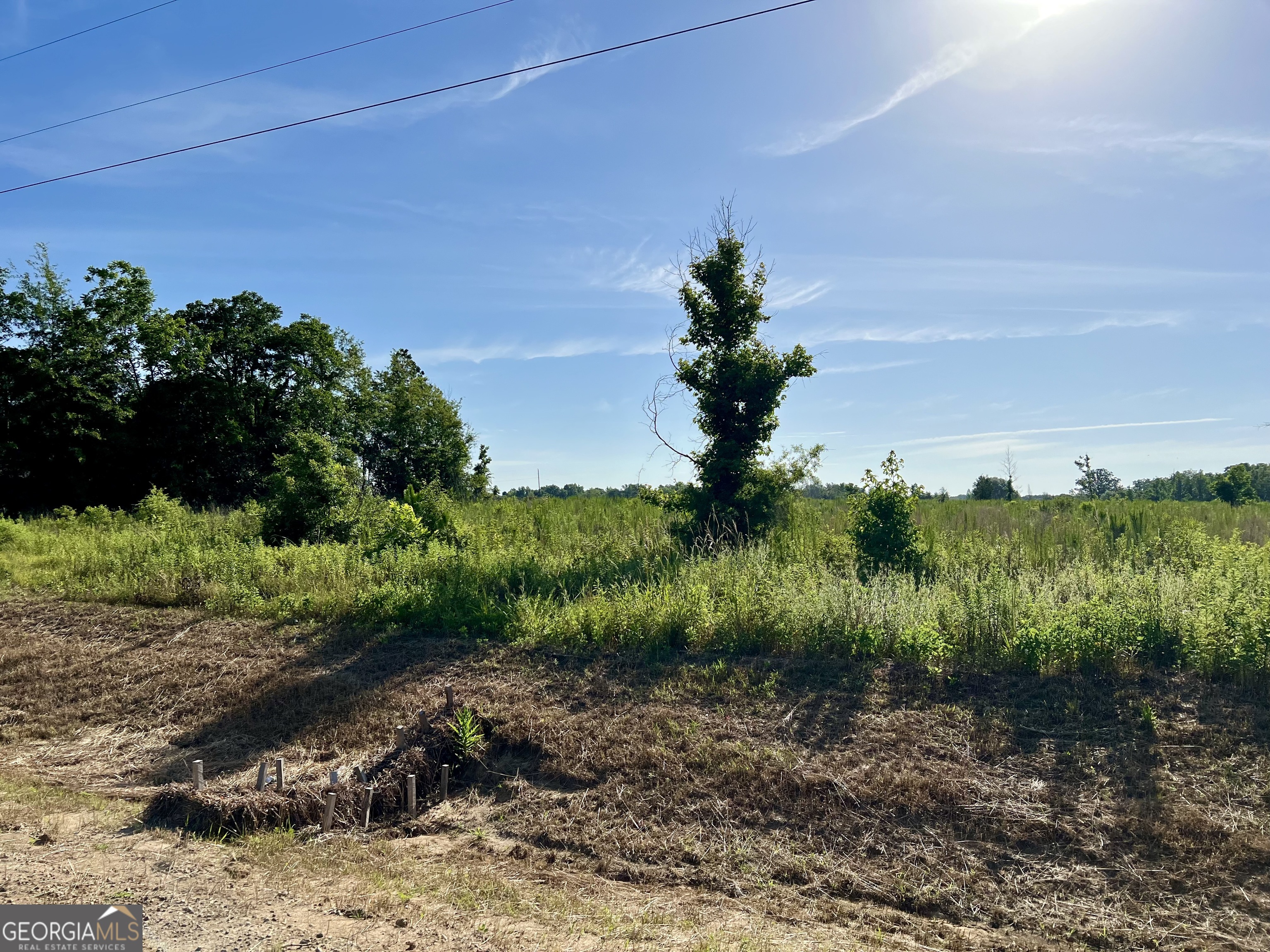0 Tucker Grove Church Road Wrightsville, GA 31096 - Photo 19 of 21
