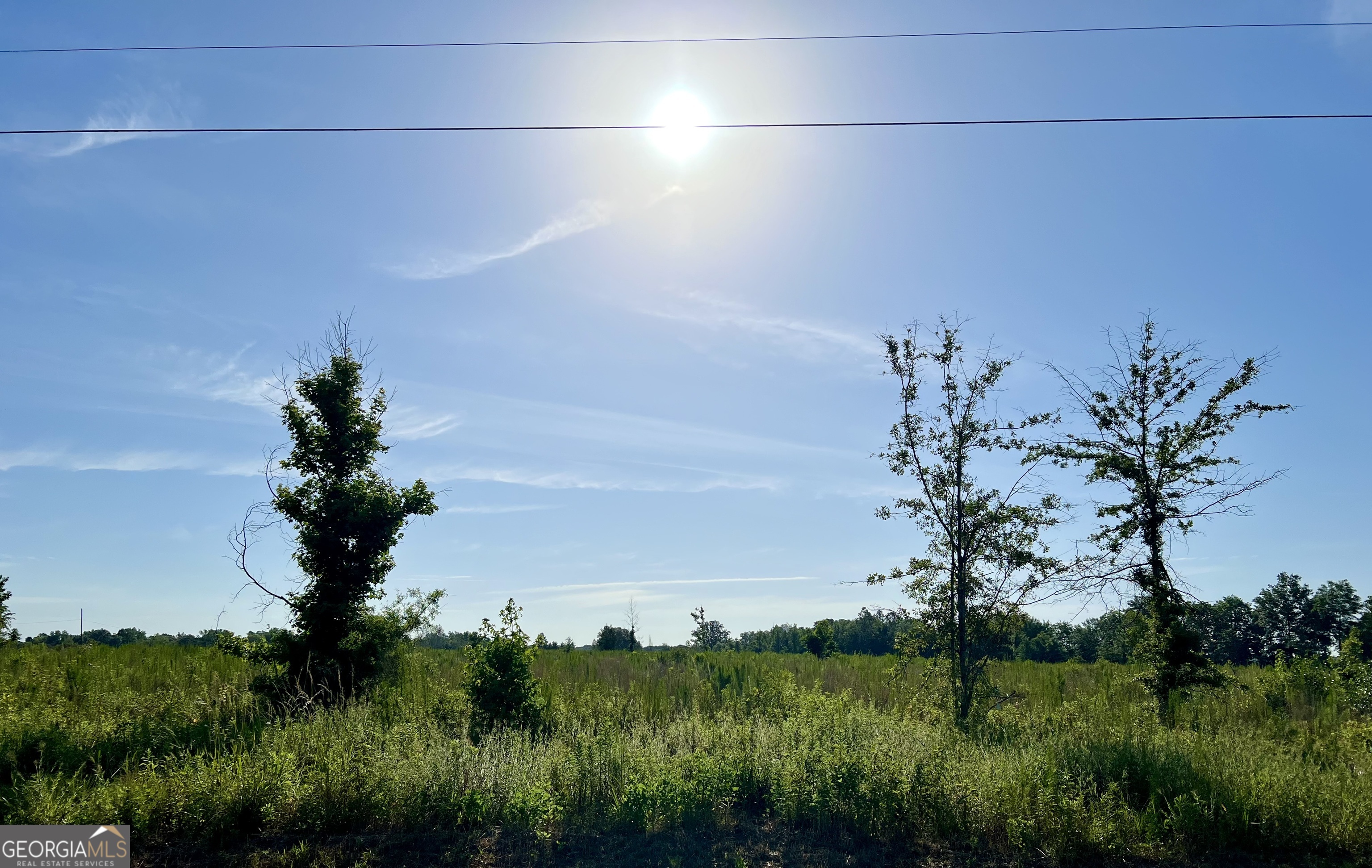 0 Tucker Grove Church Road Wrightsville, GA 31096 - Photo 20 of 21