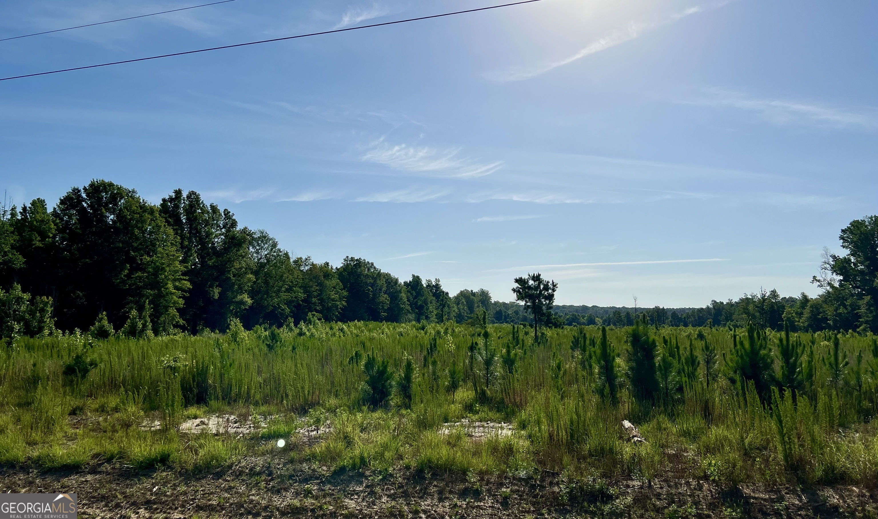 0 Tucker Grove Church Road Wrightsville, GA 31096 - Photo 3 of 21