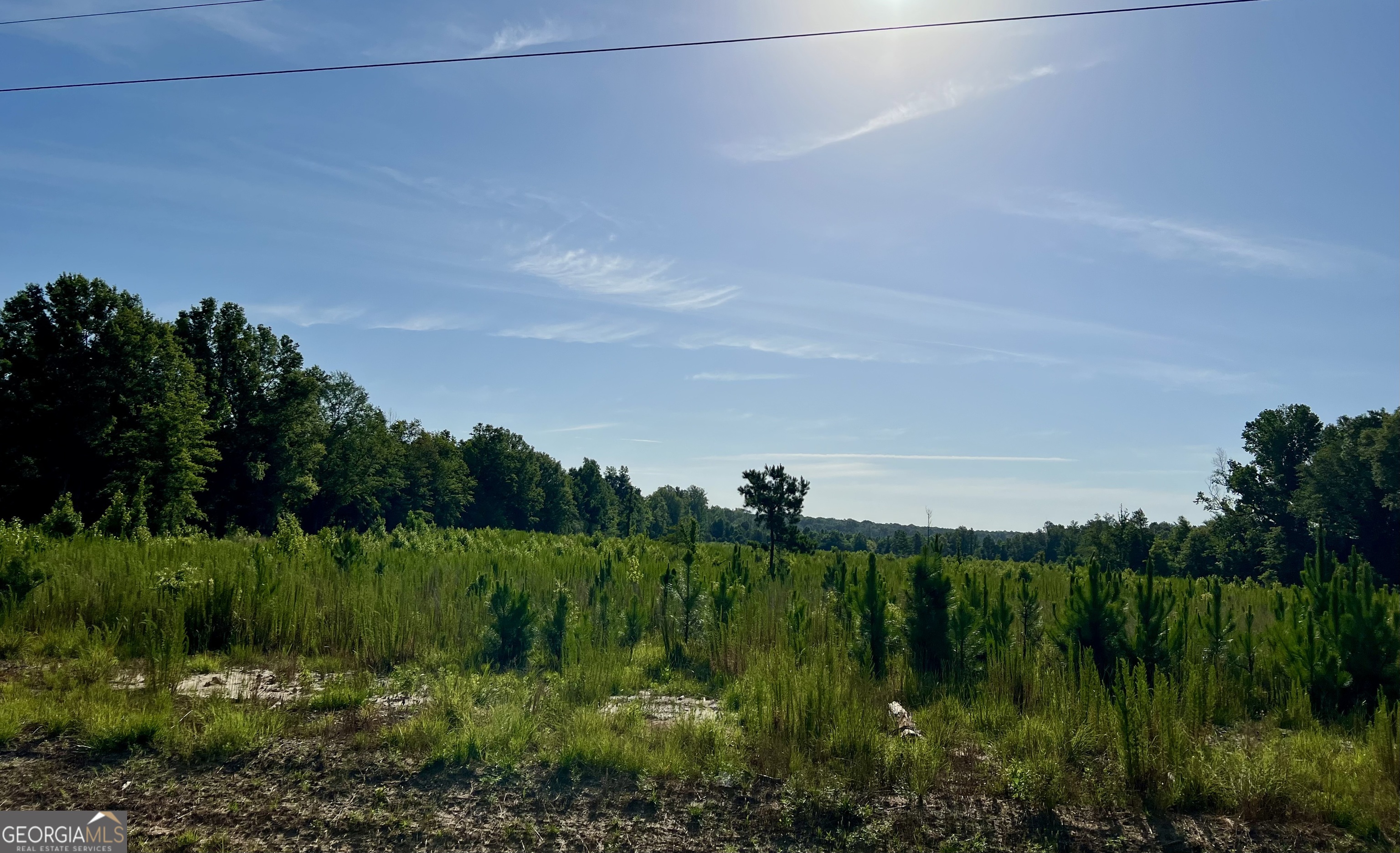 0 Tucker Grove Church Road Wrightsville, GA 31096 - Photo 4 of 21