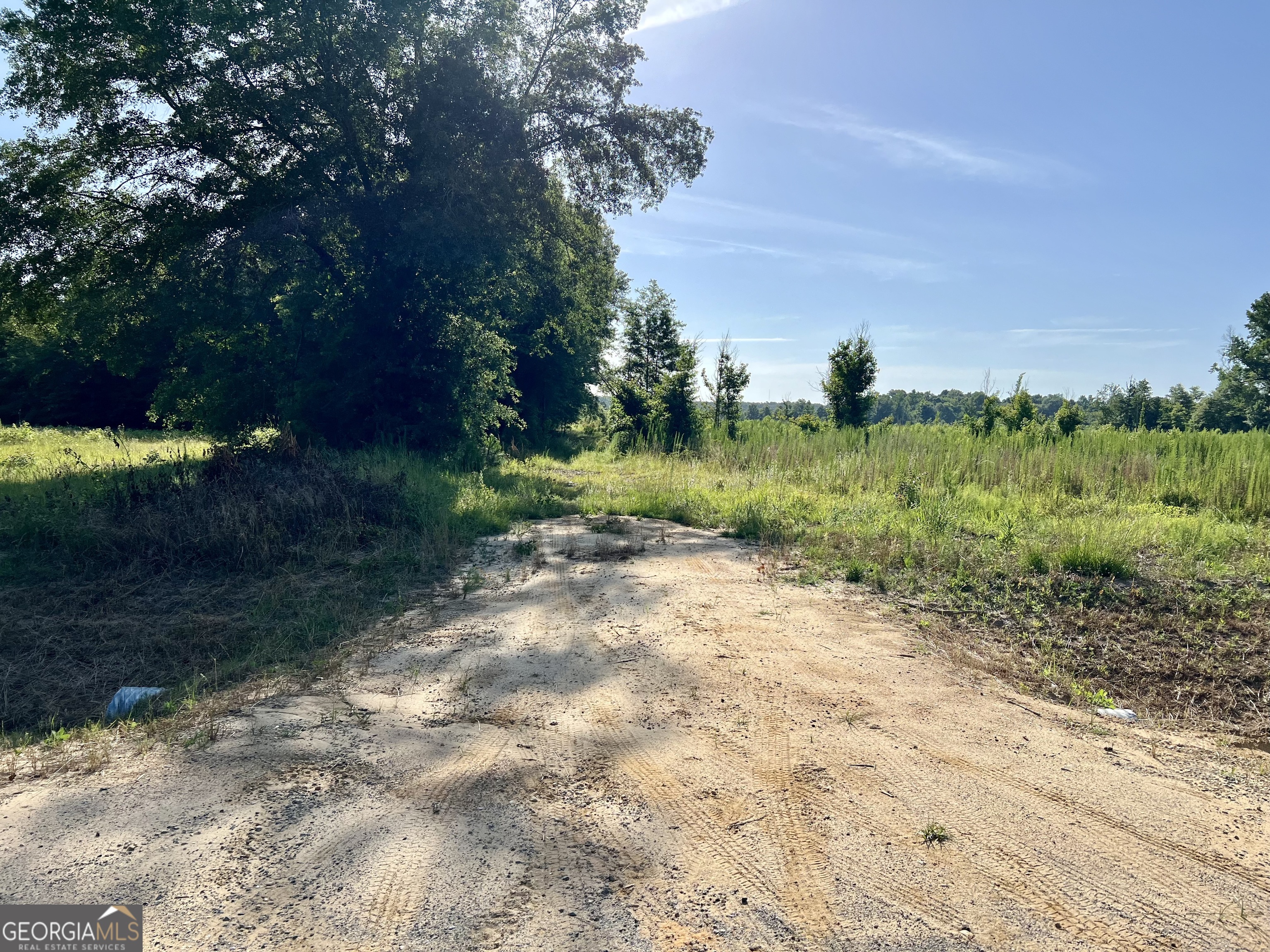 0 Tucker Grove Church Road Wrightsville, GA 31096 - Photo 5 of 21
