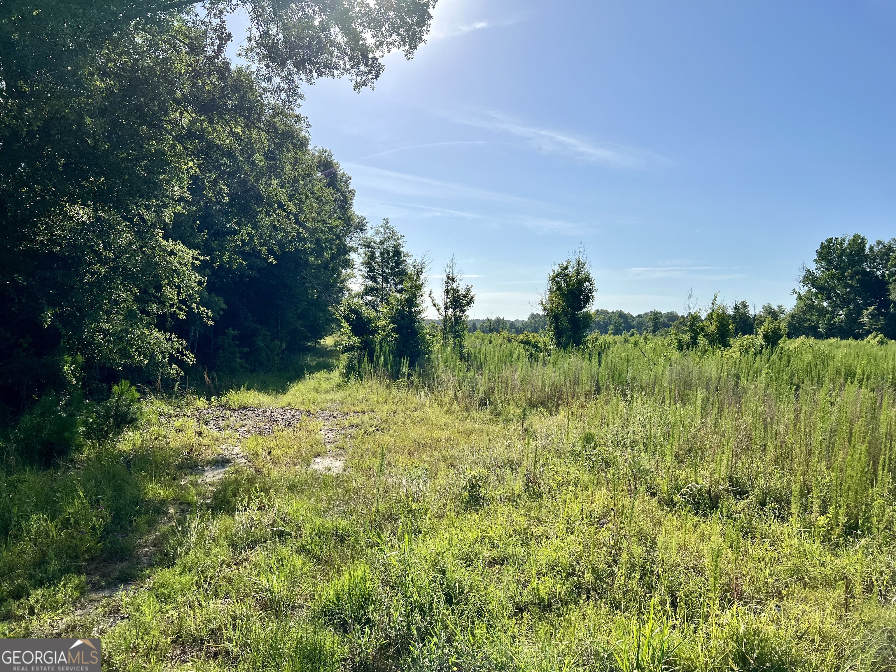 0 Tucker Grove Church Road Wrightsville, GA 31096 - Photo 6 of 21