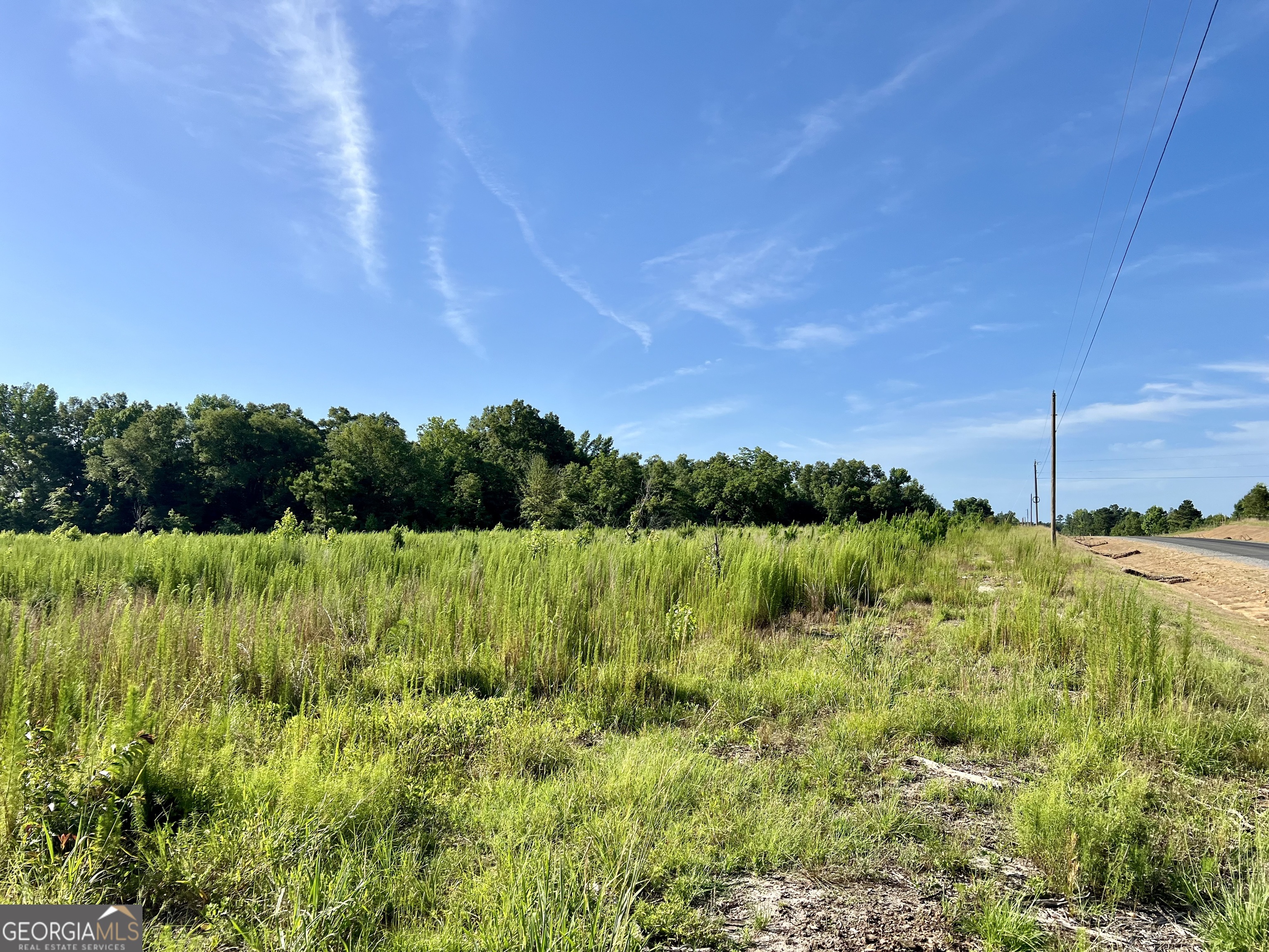 0 Tucker Grove Church Road Wrightsville, GA 31096 - Photo 7 of 21