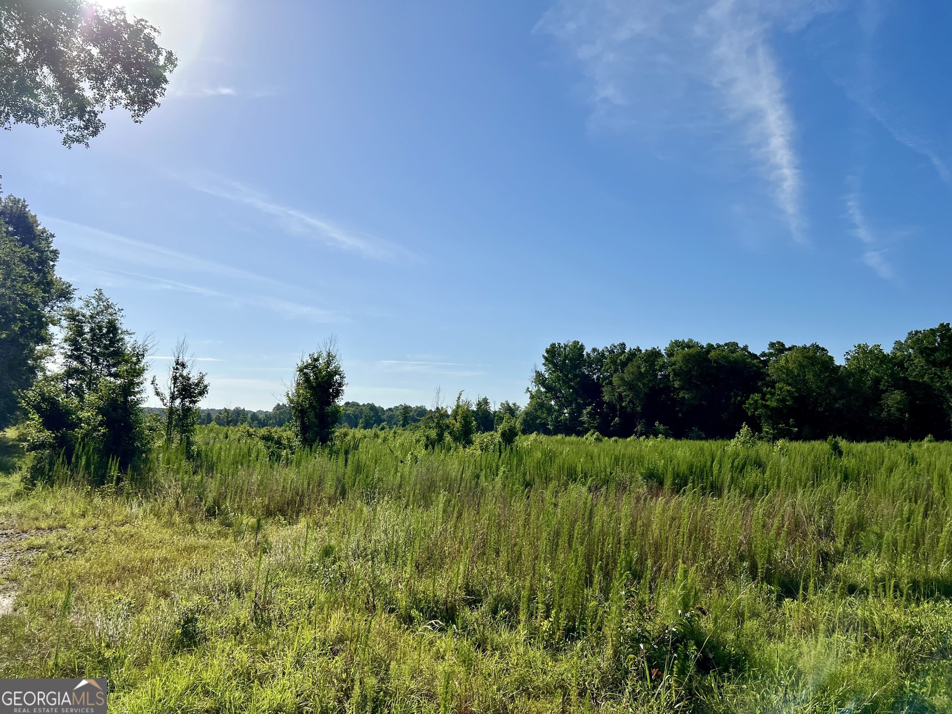 0 Tucker Grove Church Road Wrightsville, GA 31096 - Photo 8 of 21