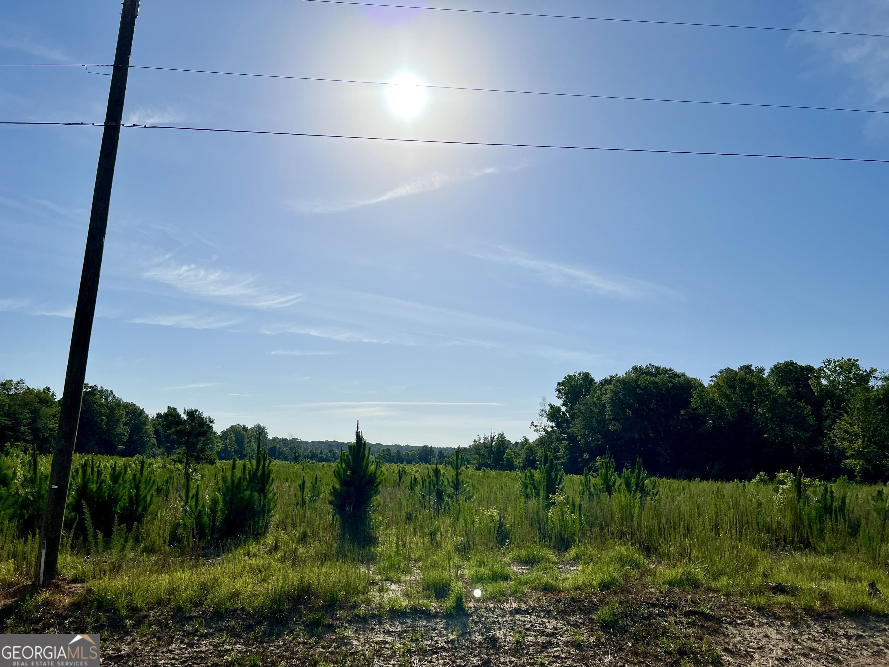 0 Tucker Grove Church Road Wrightsville, GA 31096 - Photo 9 of 21