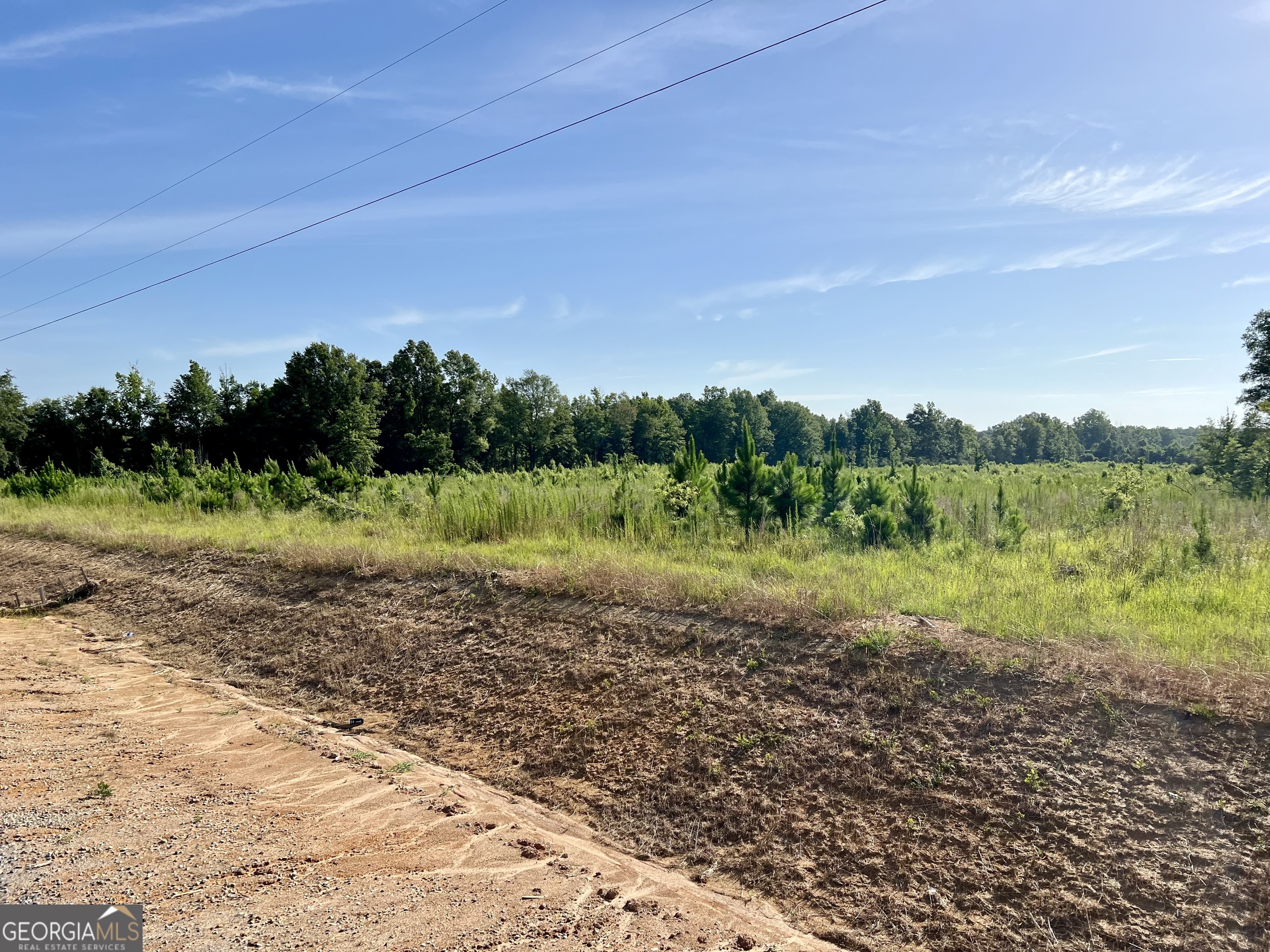 0 Tucker Grove Church Road Wrightsville, GA 31096 - Photo 10 of 21