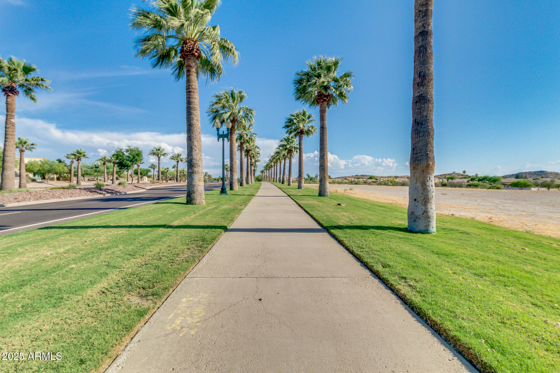 17743 West Verdin Road Goodyear, AZ 85338 - Photo 46 of 69 a front view of a garden with a palm tree