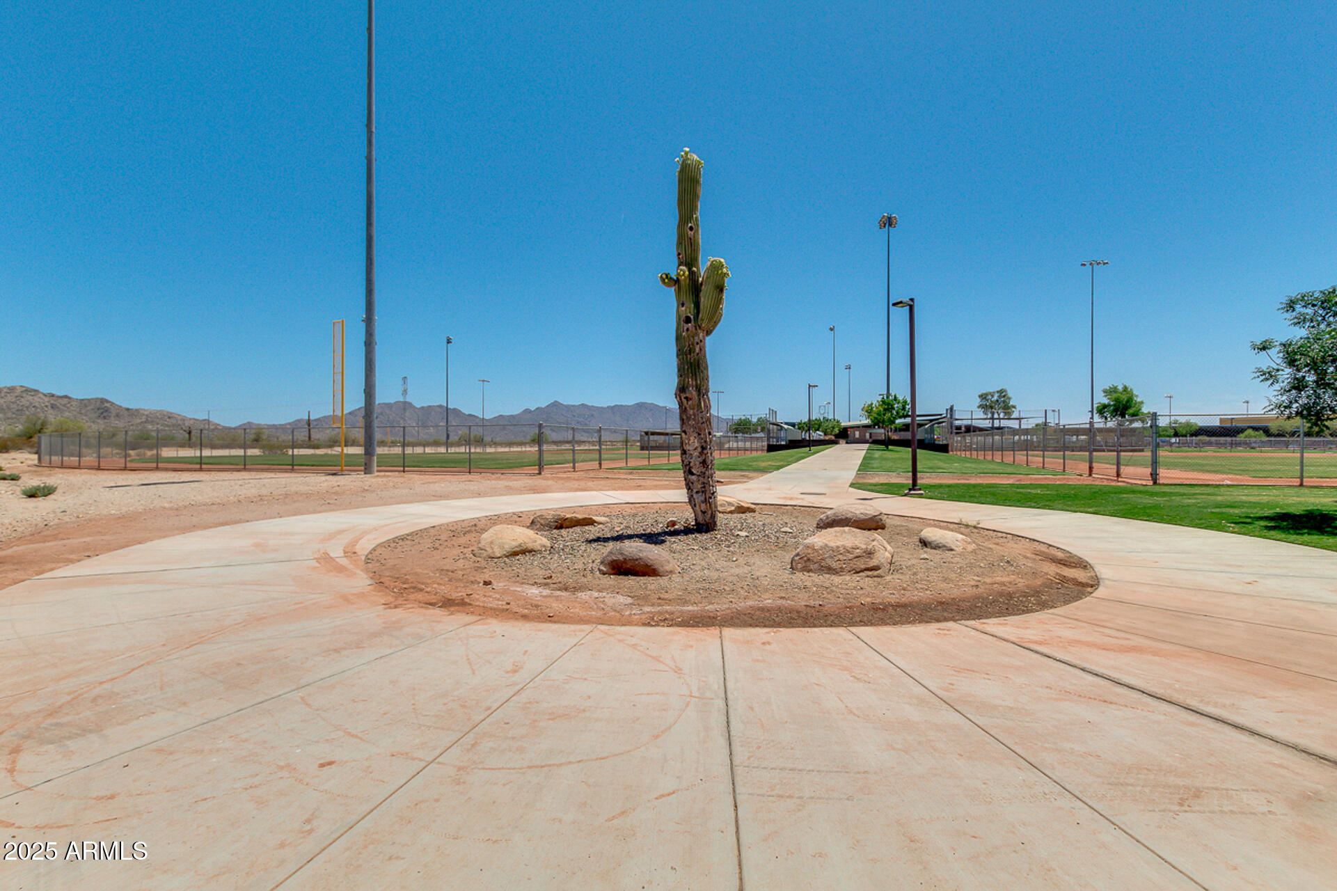 17743 West Verdin Road Goodyear, AZ 85338 - Photo 66 of 69 a view of a swimming pool with a yard