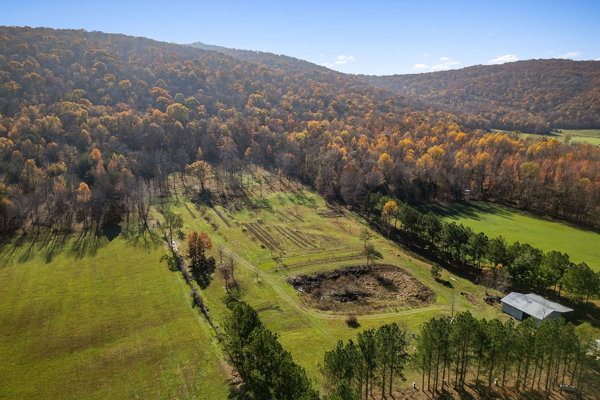 225 Apple Valley Lane Morrison, TN 37357 - Photo 60 of 74 an aerial view of residential houses with outdoor space and trees