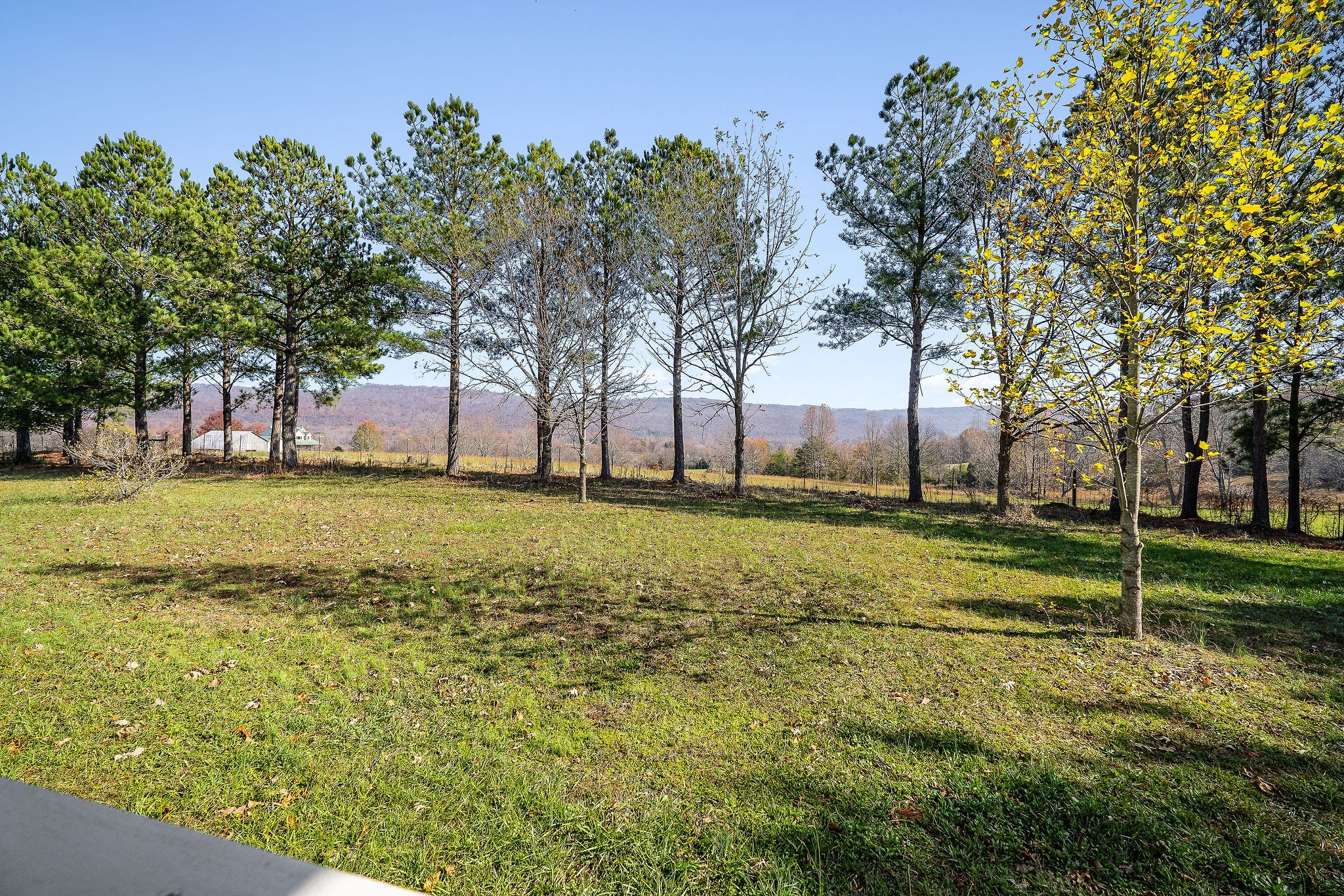 225 Apple Valley Lane Morrison, TN 37357 - Photo 63 of 74