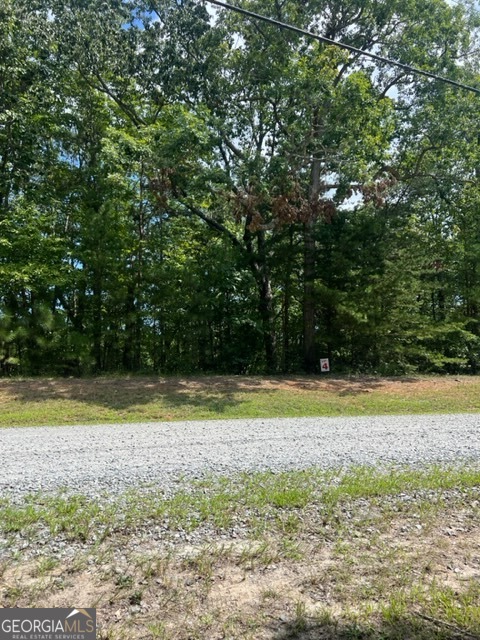 Lot 4 Hunter Ridge Ellijay, GA 30540 - Photo 21 of 23 Gallery Image 21