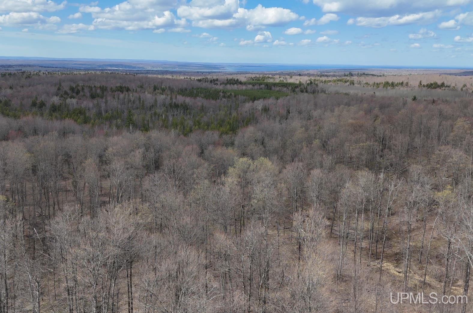 Tbdne Dog Patch Road Lanse, MI 49946 - Photo 4 of 23