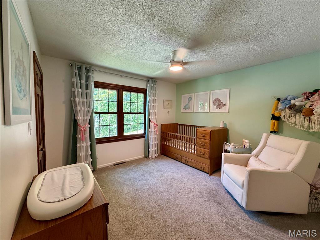 4 El Rancho Drive Hannibal, MO 63401 - Photo 19 of 43