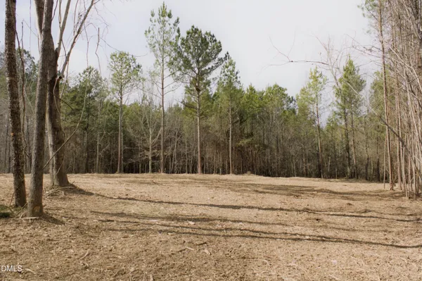 $127,000 | Lot 00 John Snipes Road, Siler City, NC 27344