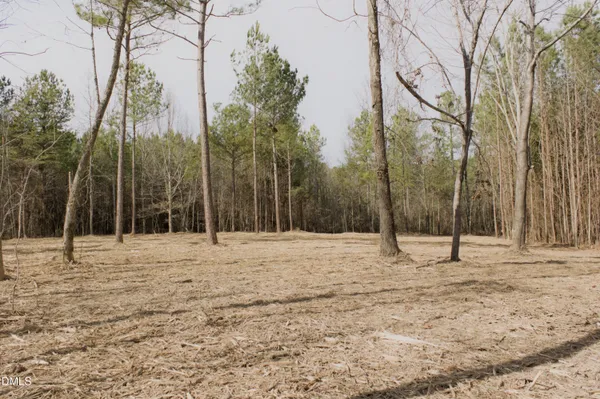 $127,000 | Lot 00 John Snipes Road, Siler City, NC 27344